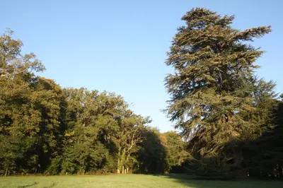 Paysage naturel près de la maison de vacances