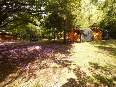 Jardin de l'établissement La Rossignolerie - POD Cabanes des châteaux