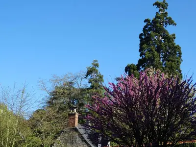 Jardin de l'établissement Castel Fleuri