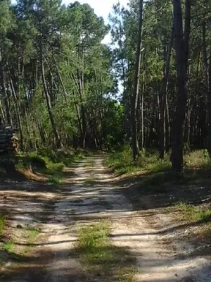 Paysage naturel près de la maison de vacances