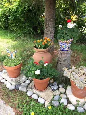 Jardin de l'établissement La Tour de Saint Cyr