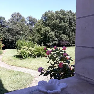 Jardin de l'établissement La Violiere