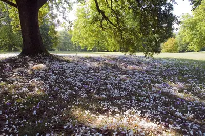 Jardin de l'établissement Domaine de la Tortinière
