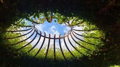 Jardin de l'établissement Les Loges de Saint Eloi- Gîtes