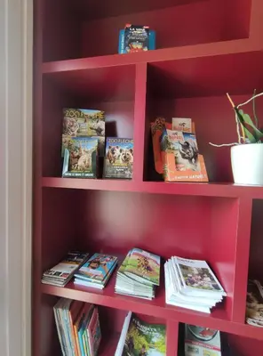 Bibliothèque dans l'hôtel