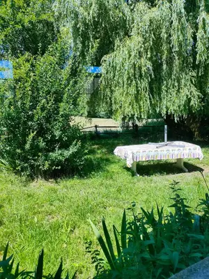 Jardin de l'établissement Chambres dans le gîte 