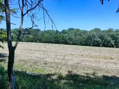 Paysage naturel près de la maison de vacances