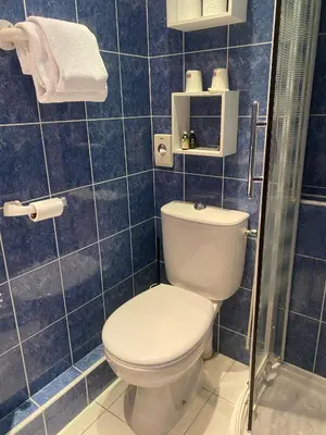 Salle de bains dans l'établissement Logis Hôtel Restaurant LE MONARQUE