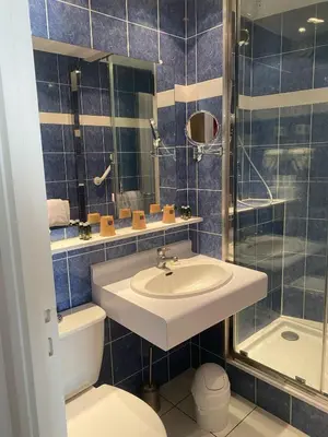 Salle de bains dans l'établissement Logis Hôtel Restaurant LE MONARQUE
