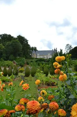Jardin de l'établissement Château De Pray