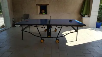 Tennis de table au sein de l'établissement Moulin De Bacchus - Châteaux de la Loire ou à proximité