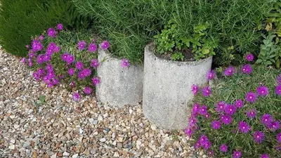 Jardin de l'établissement La Bercéenne
