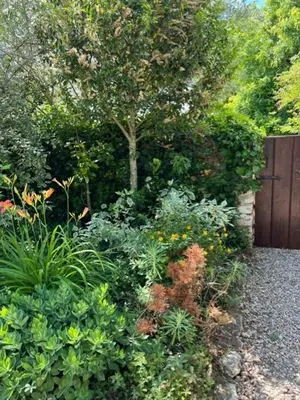 Jardin de l'établissement Les Coindries