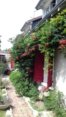 Jardin de l'établissement 18 châteaux et Beauval sur un rayon de 30 km