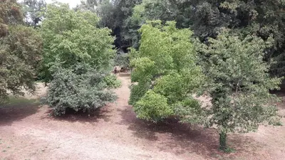 Jardin de l'établissement Le petit plessis