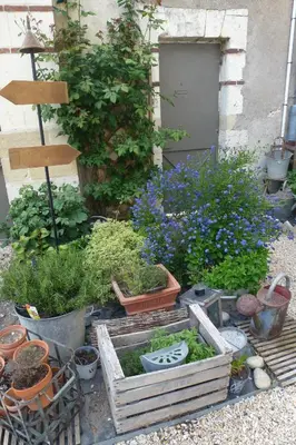 Jardin de l'établissement Une Maison en Touraine