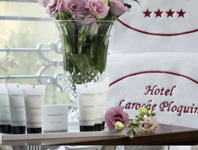 Certificat, récompense, panneau ou autre document affiché dans l'établissement Hôtel Laroche Ploquin