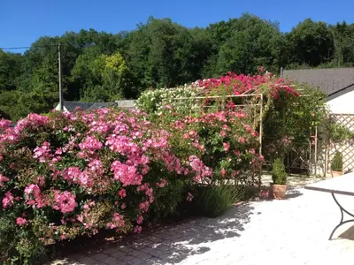 Jardin de l'établissement la Chambre des Dames