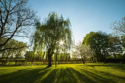 Jardin de l'établissement La planche pinçon