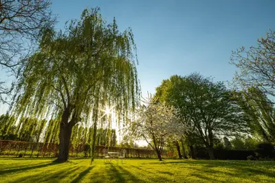 Jardin de l'établissement La planche pinçon