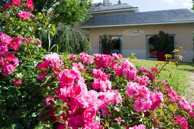 Jardin de l'établissement Logis Auberge Bienvenue