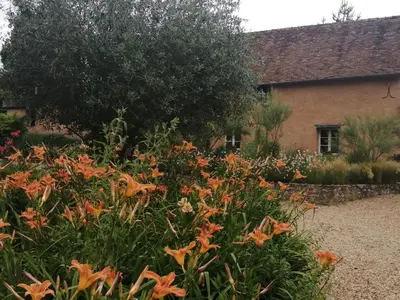 Jardin de l'établissement Moulin de la Diversiere, gîtes avec piscine en pleine nature
