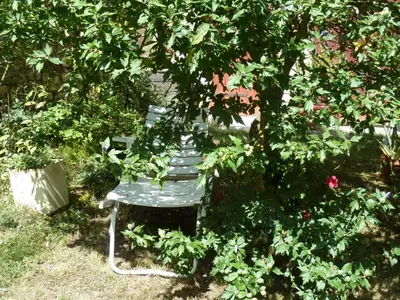 Jardin de l'établissement Le Jardin Andrinople