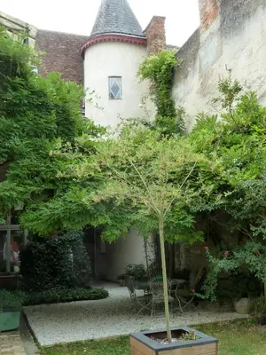 Jardin de l'établissement Le Jardin Andrinople