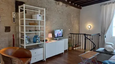 Télévision ou salle de divertissement dans l'établissement Duplex 60 m2 bord de Loire
