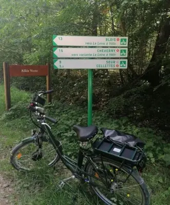 Vélo sur le terrain de l'établissement Duplex 60 m2 bord de Loire ou dans les environs