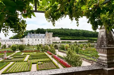 Jardin de l'établissement Gite Nature Loire et Châteaux 3*