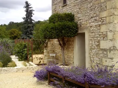 Jardin de l'établissement La Maison Tumtum Arbre