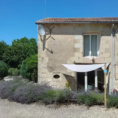 La Maison Tumtum Arbre