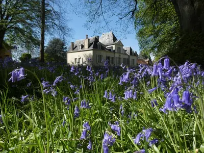 Jardin de l'établissement Domaine De Chatenay - Le Mans