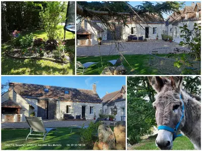 Plan de l'établissement Gîte charmant à 30 min d'Amboise - FR-1-381-145