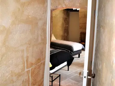 Spa ou équipements de bien-être de l'établissement Maison troglodyte de charme avec salle de jeux et spa à Vouvray - FR-1-381-87