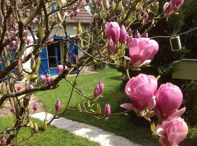 Jardin de l'établissement Au Coeur des Châteaux