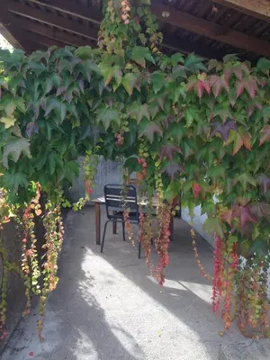 Jardin de l'établissement Au Coeur des Châteaux