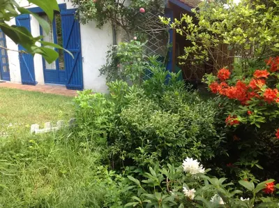 Jardin de l'établissement Au Coeur des Châteaux