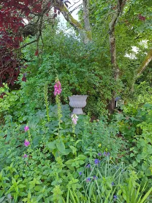 Jardin de l'établissement Le clos des Acanthes