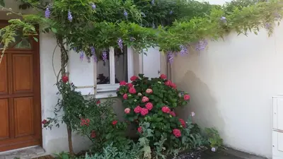 Jardin de l'établissement Landreau