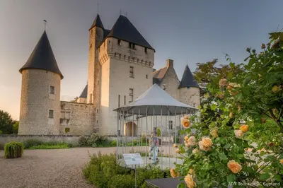 Jardin de l'établissement Hôtel du Château du Rivau