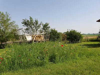 Jardin de l'établissement La Ferme Blanche