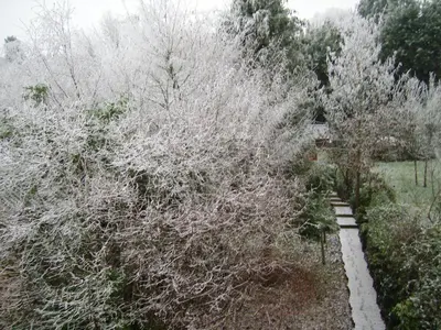 Jardin de l'établissement Chalet indépendant proche centre ville