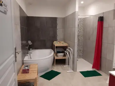 Salle de bains dans l'établissement Charmante maison de campagne près de Tours avec jardin et vélos - FR-1-381-97