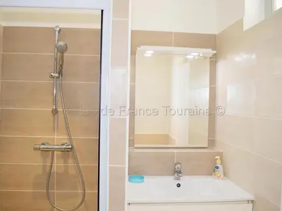 Salle de bains dans l'établissement Gîte au Cœur du Val de Loire avec WIFI et Animaux Acceptés - FR-1-381-154