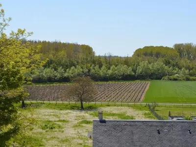 Jardin de l'établissement Charmant gîte à Vouvray avec 2 chambres et jardin - FR-1-381-167