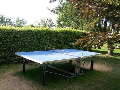 Tennis de table au sein de l'établissement Gîte 18e avec piscine, jardin et équipements inclus, près des Châteaux de la Loire - FR-1-381-212 ou à proximité