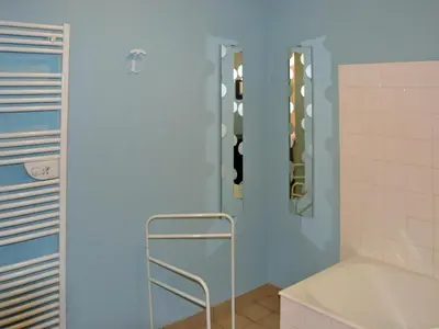 Salle de bains dans l'établissement Charmante maison en Touraine avec jardin et WIFI - FR-1-381-288