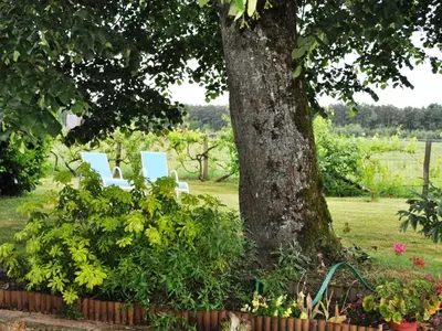 Jardin de l'établissement Gîte de charme en Touraine du Sud, jardin clos, 3 chambres - FR-1-381-321
